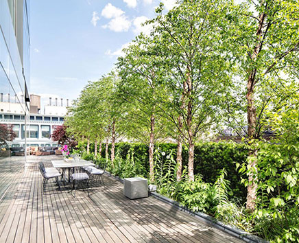balkon-groser-als-garten (3)