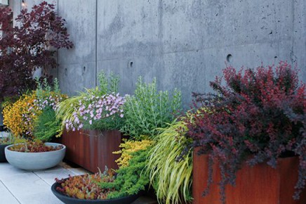 bohemien-dachterrasse-athena-calderone (6)