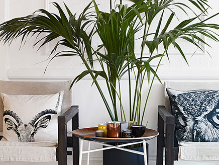 Gemütliches Wohnzimmer