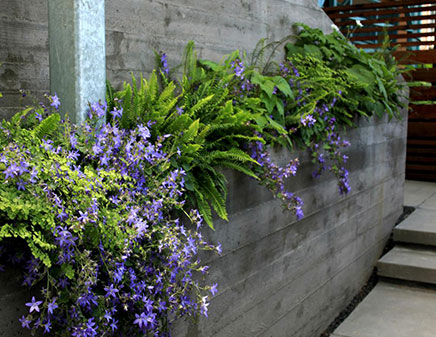 hugelige-gartengestaltung (4)