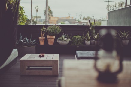 neidisch-dachterrasse (2)