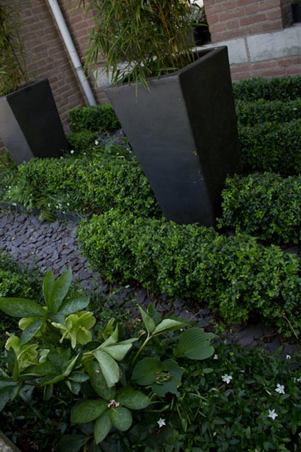 Vorne garten mit vielen Pflanzen