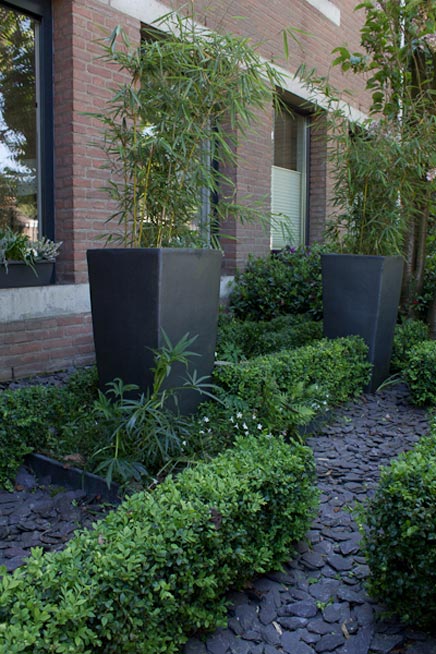 Vorne garten mit vielen Pflanzen