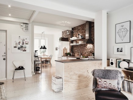 wohnung-mischung-coolen-details-schone-styling (31)